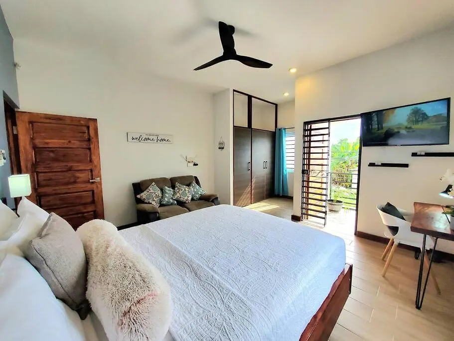 'The Solace' New Luxury Modern 1Bed 1Bath Apt. Portmore